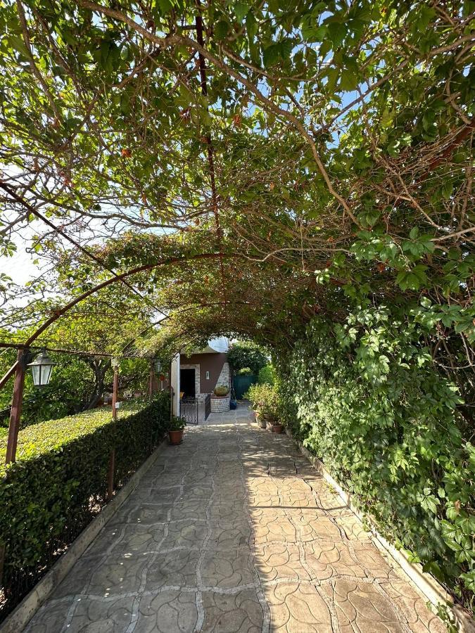 Villa Mariuccia シラクーサ エクステリア 写真